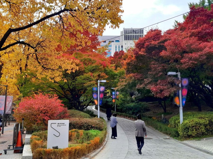 우리나라 5대궁의 가을_3.jpg