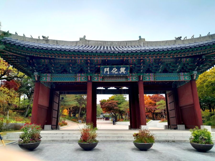 우리나라 5대궁의 가을_5.jpg