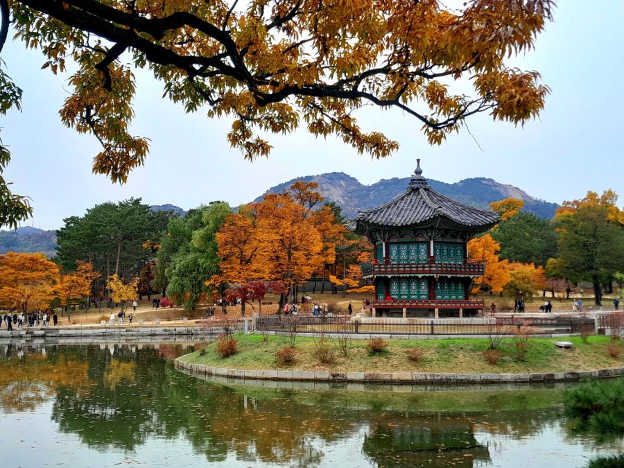 우리나라 5대궁의 가을_8.jpg