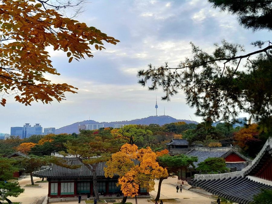 우리나라 5대궁의 가을_12.jpg