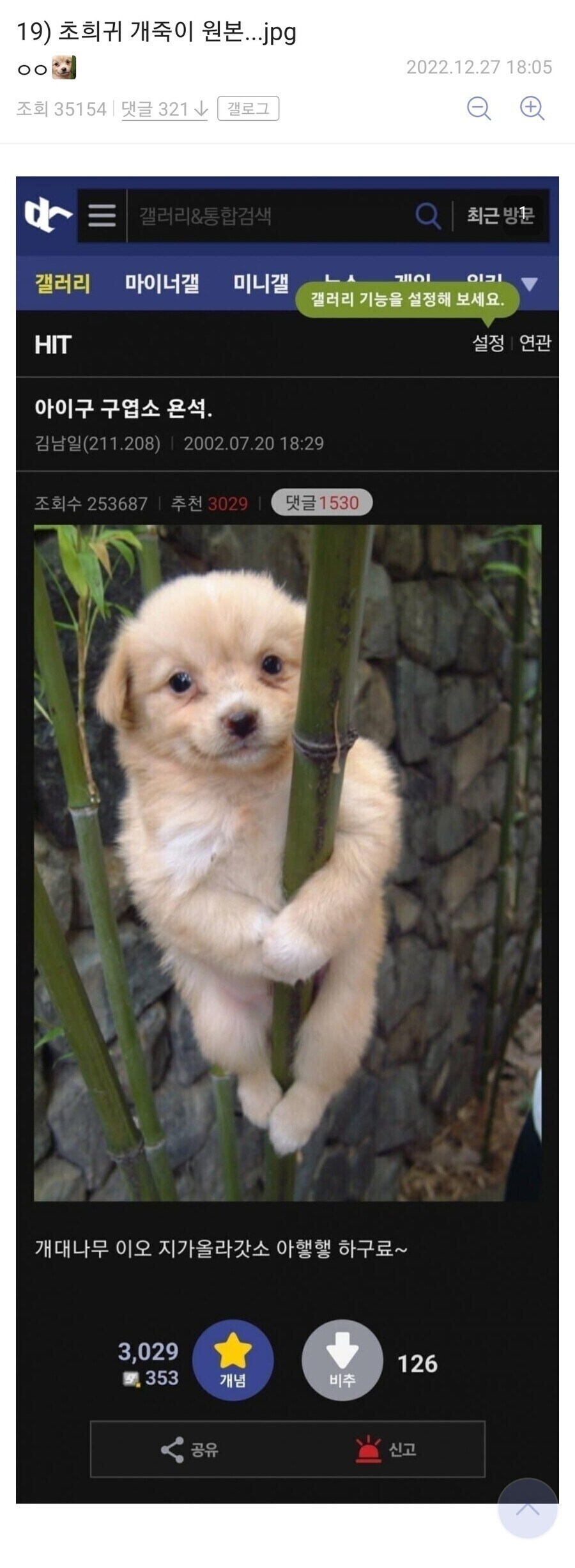 초희귀 개죽이 원본.jpg_1.jpg