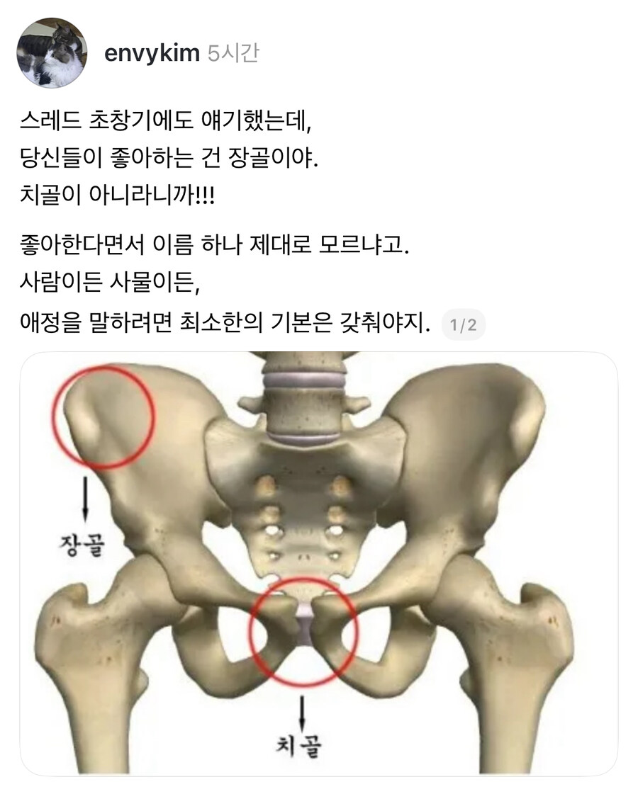 당신들이 좋아하는 건 장골입니다.jpg_1.jpg
