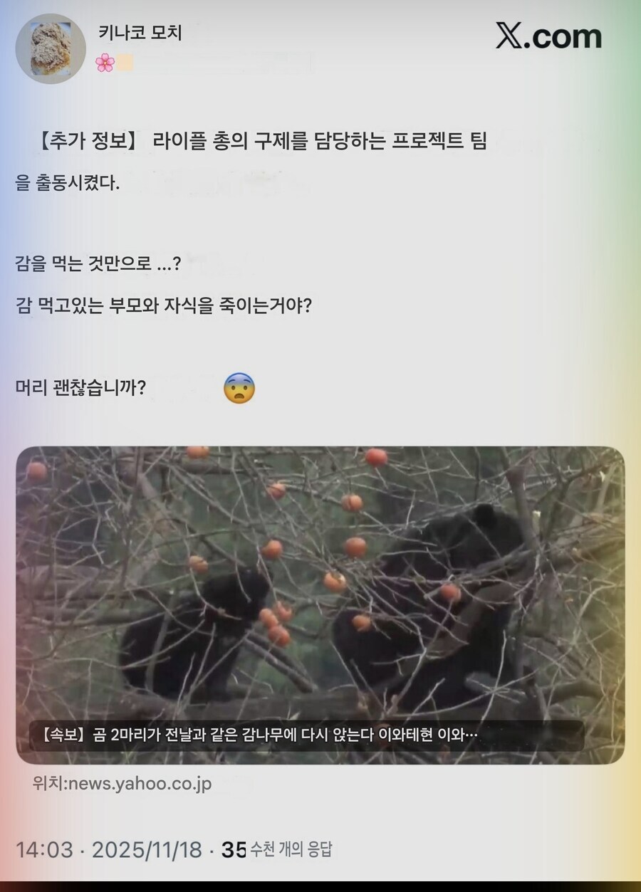 ?? : 캣맘은 우리들 중 최약체지_1.jpg