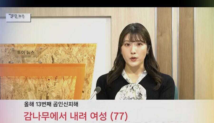 ?? : 캣맘은 우리들 중 최약체지_3.jpg