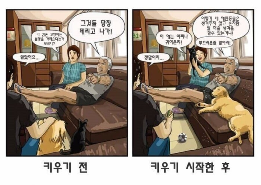 집에서 애완동물 반대하는 사람들은 겪어 본다는 것_1.png