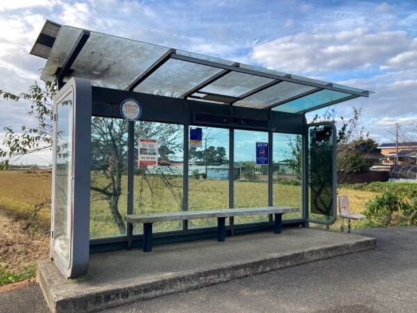 시골버스정류장의 아이러니_2.jpg
