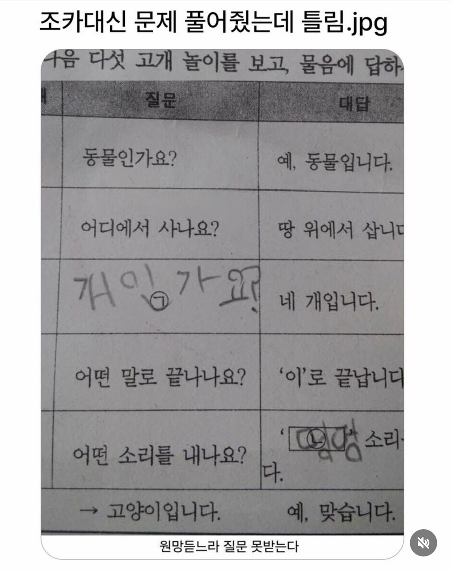 스무고개 문제 틀림.jpg_1.png