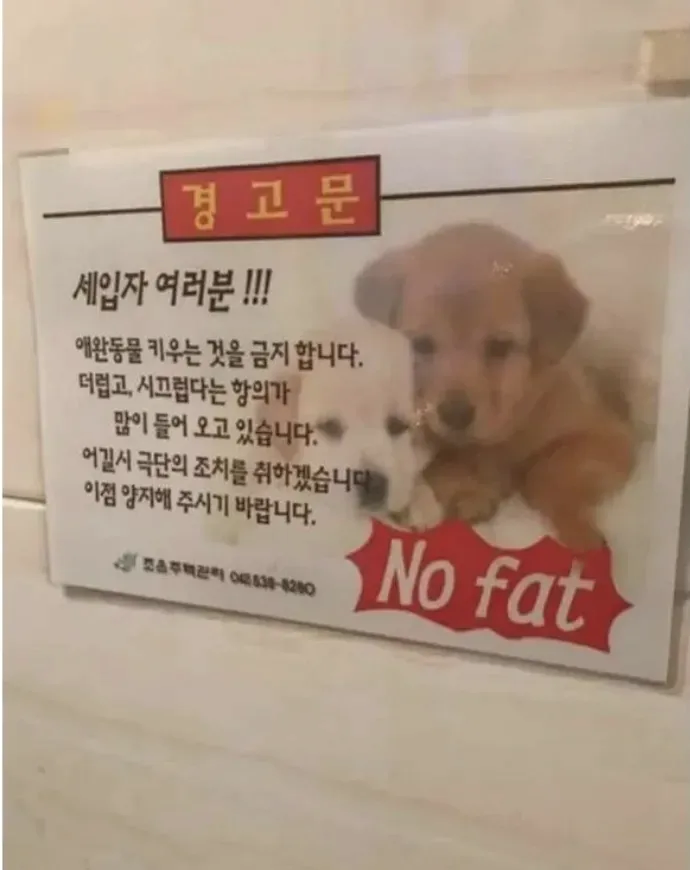 세입자 건강걱정_1.webp