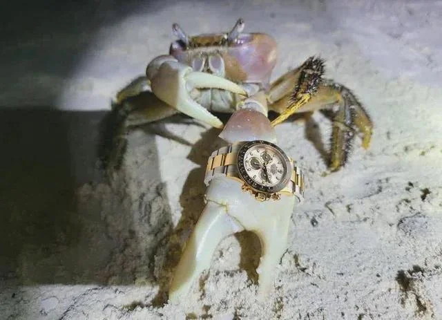 시계 나오는 게임 추천좀_1.webp