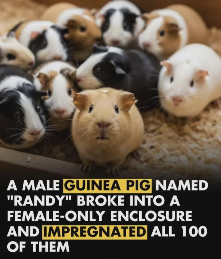 동물 사육할 때 암수를 분리하는 이유_1.webp