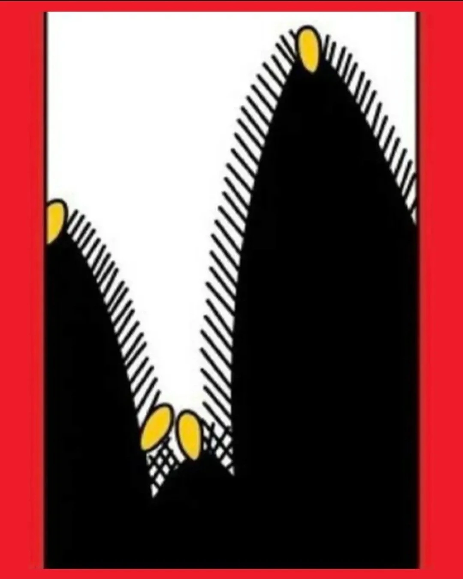 털이 이상하게 자라는 강아지._3.webp