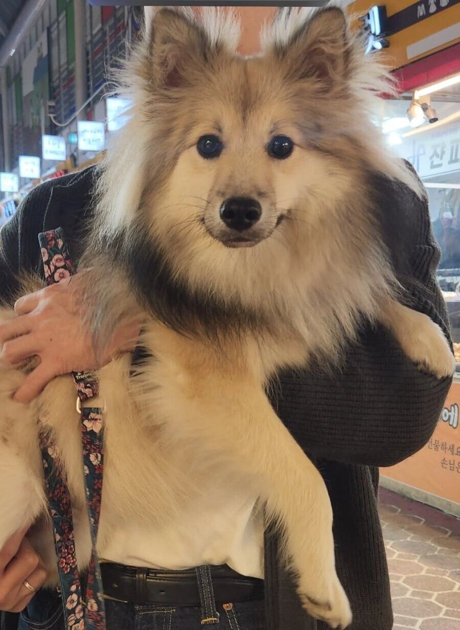 잘생겼다고 만두 서비스로 준 사장님_2.jpg