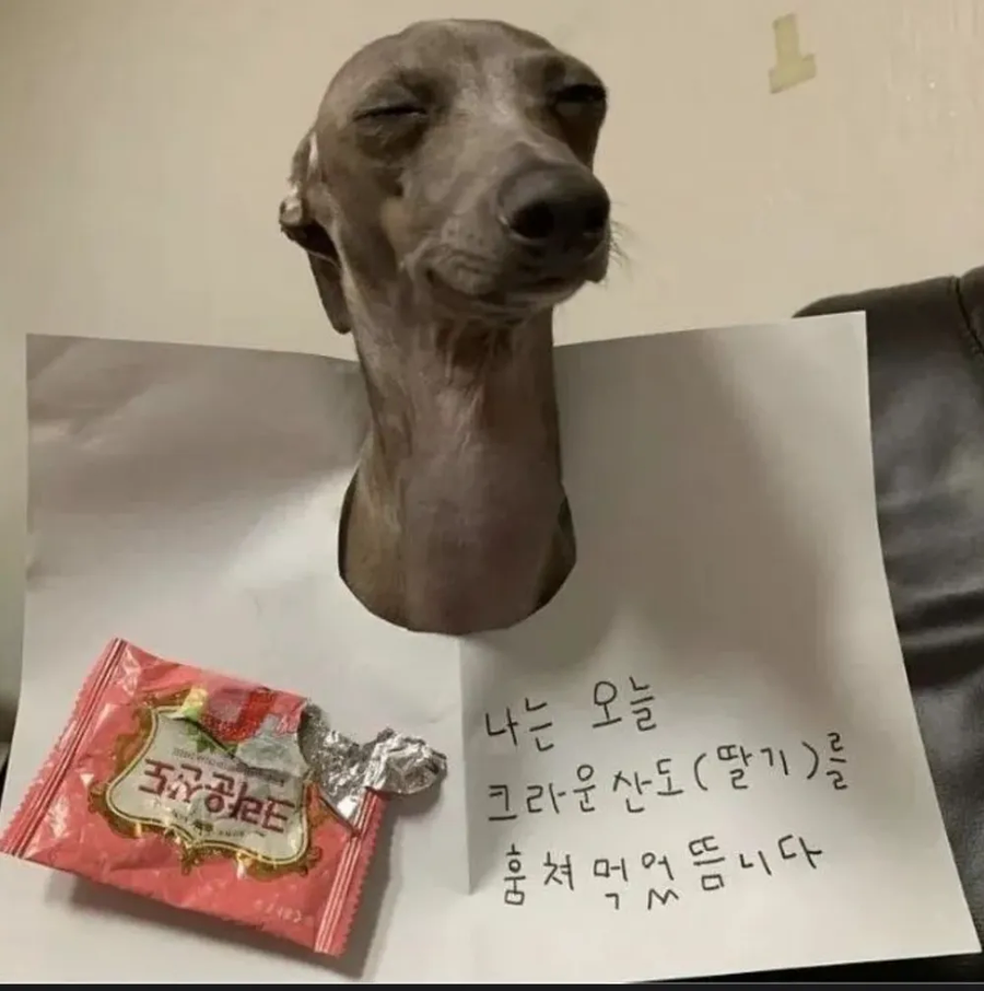 구속 당했지만 후련한 표정을 짓는 용의자_1.webp