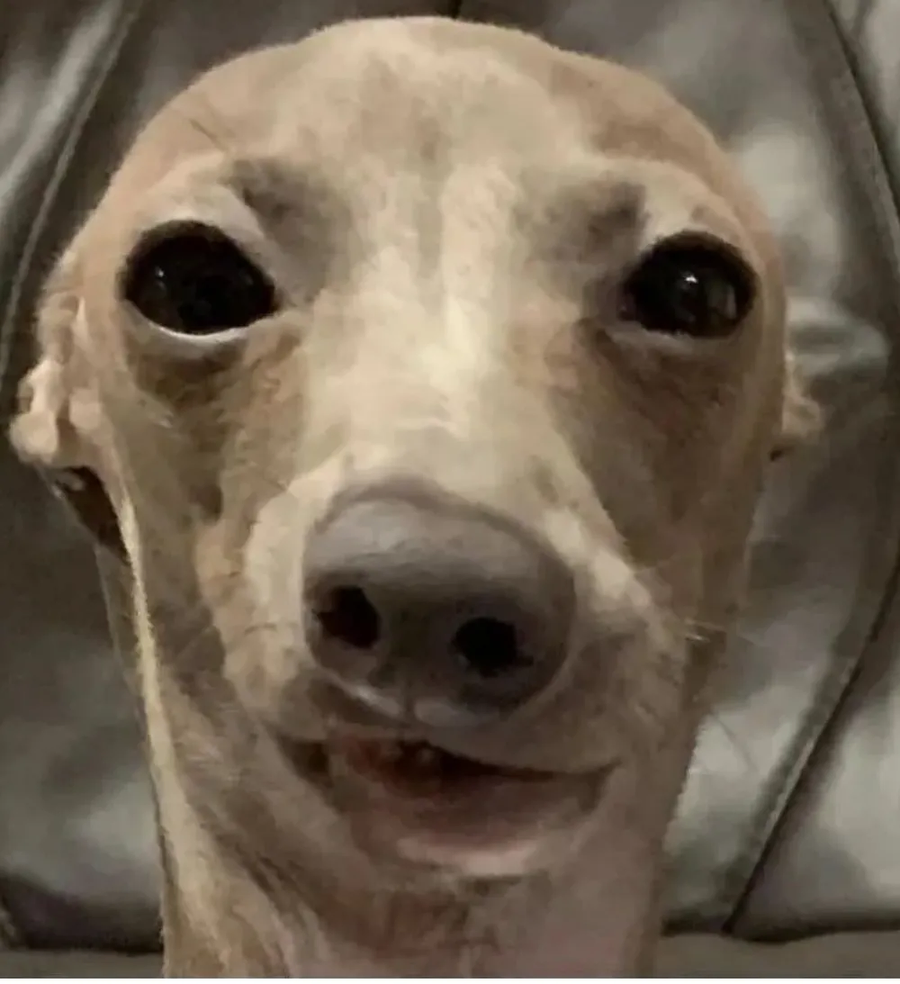 구속 당했지만 후련한 표정을 짓는 용의자_2.webp