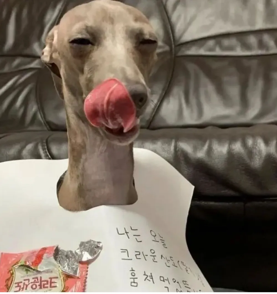 구속 당했지만 후련한 표정을 짓는 용의자_3.webp