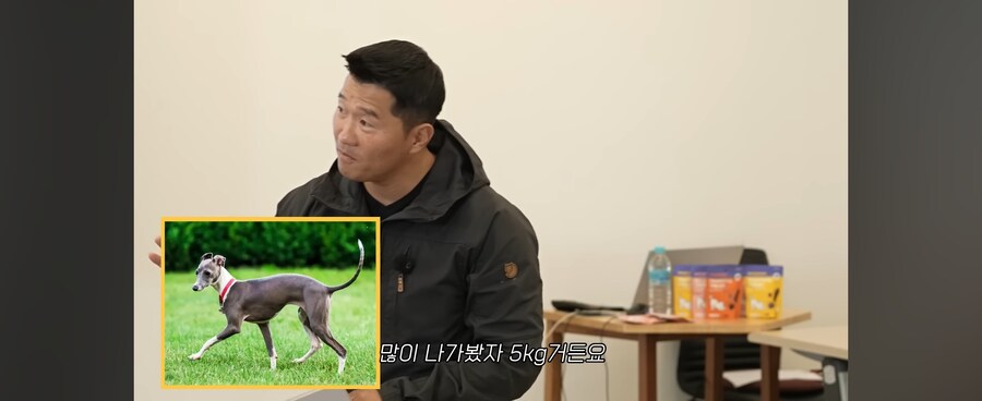 살아생전 처음보는 뚠뚠한 강아지_10.jpg