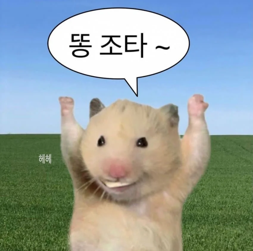 타조똥을 거꾸로 하면 안되는이유.jpg_2.webp