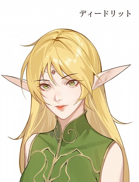 엘프 누나 복장의 비밀_1.jpg