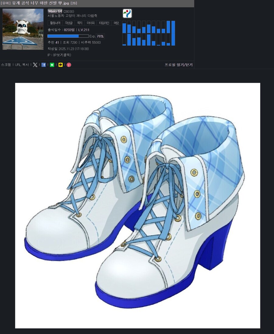 디씨인이 설명하는 신발이 두 개인 이유.JPG_1.jpg