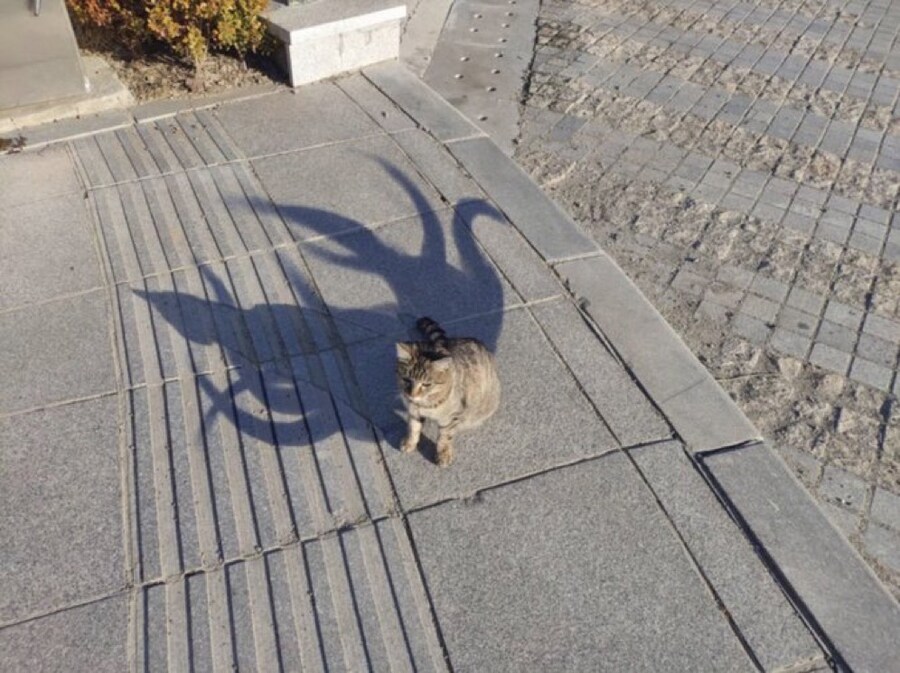 이런이런...힘을 좀 낼때가 됬다냐.jpg_1.jpg