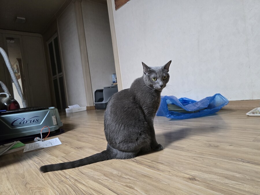 무슨무슨 법따위 안지켜_1.jpg