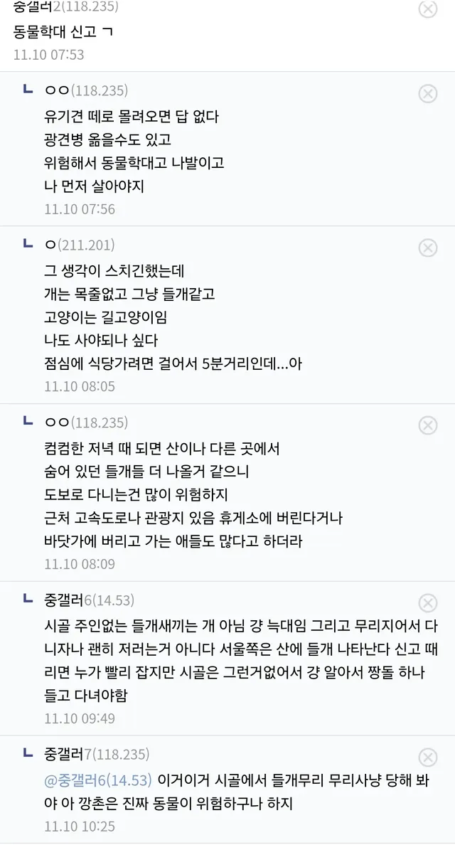 첫 출근 했는데 비비탄총 사오라는 회사.jpg_3.webp