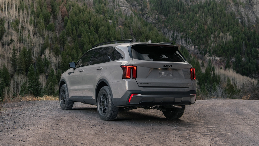 저주받았네 ㅋㅋ_3.webp