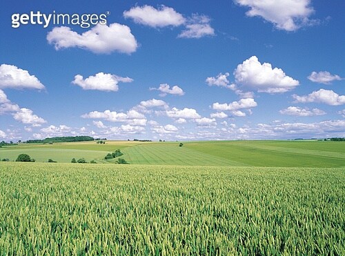 프랑스가 나치한테 순식간에 뚫린 이유_2.jpg