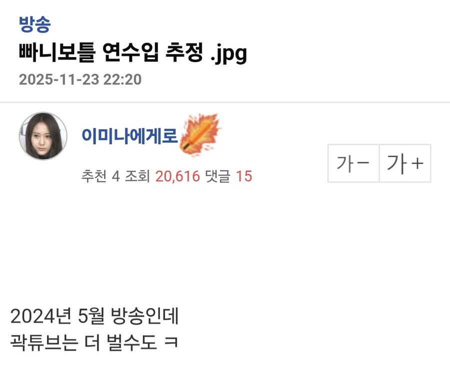 여행가 빠니보틀 연수입 추정.jpg_1.jpg