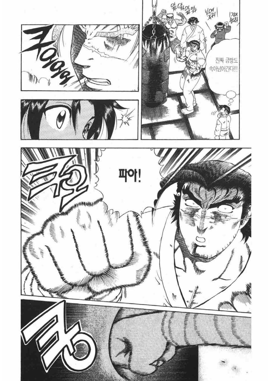 켄이치)애니에선 안나왔던 스승들의 필살기 장면_3.jpg