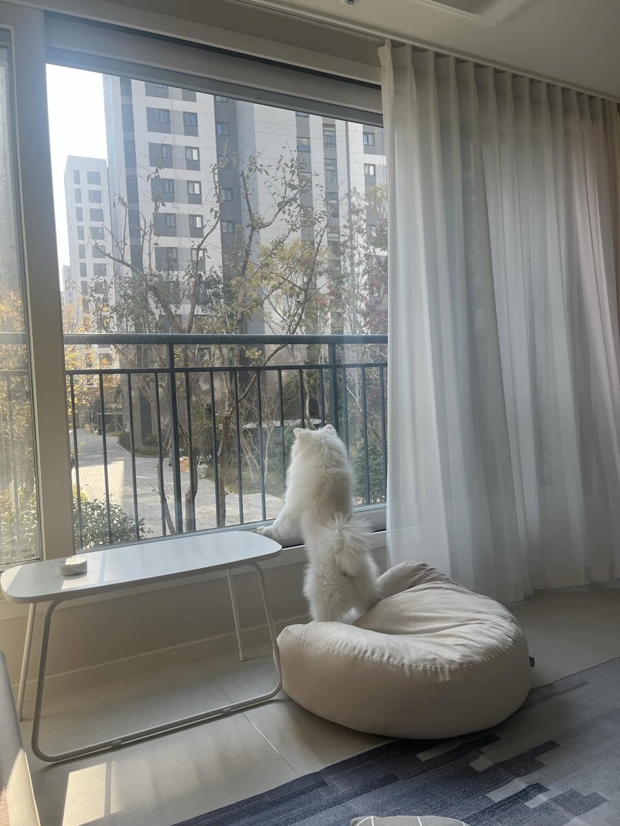 강아지사진 줏어왔다_2.jpg