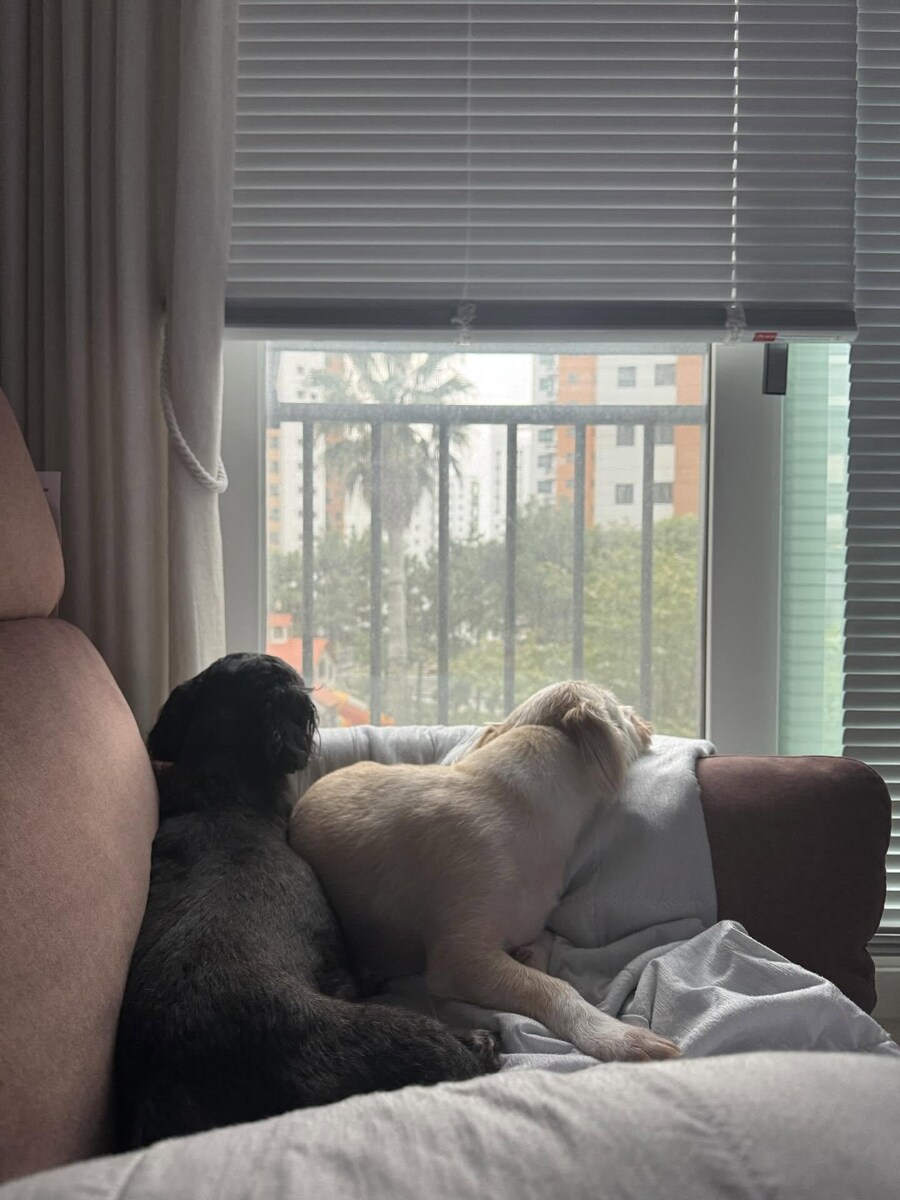 강아지사진 줏어왔다_7.jpg