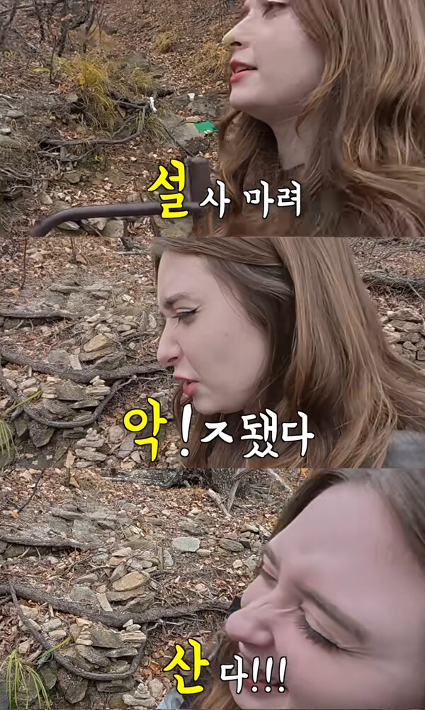 흔한 프랑스처자의 삼행시_1.png