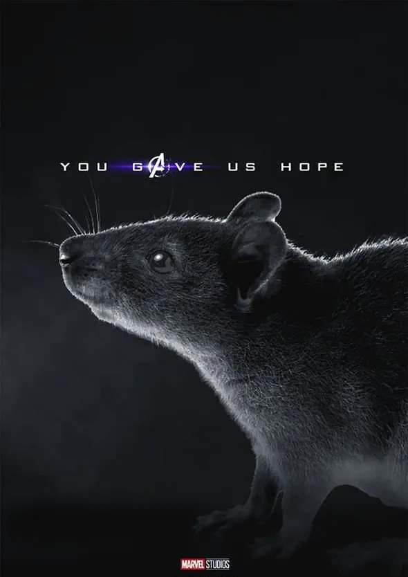 중세 흑사병을 물리친 영웅 후보 중 하나.JPG_2.webp