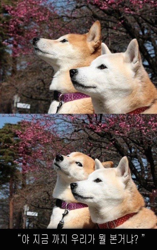 듀얼 세계의 뇌물_2.png