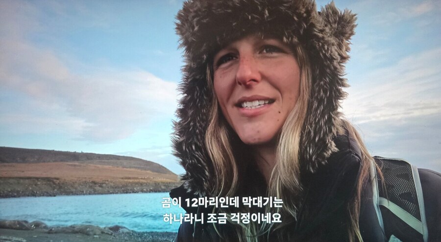 북극곰 만났을 때 살 수 있는 의외로 쉬운 방법.JPG_11.jpg