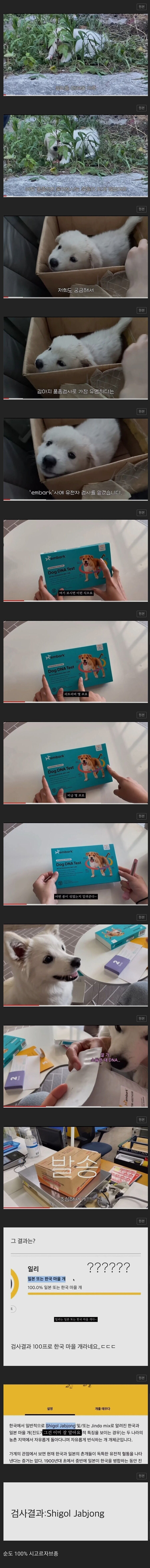 시골에서 데려온 강아지가 100% 순혈견이었다_1.jpg