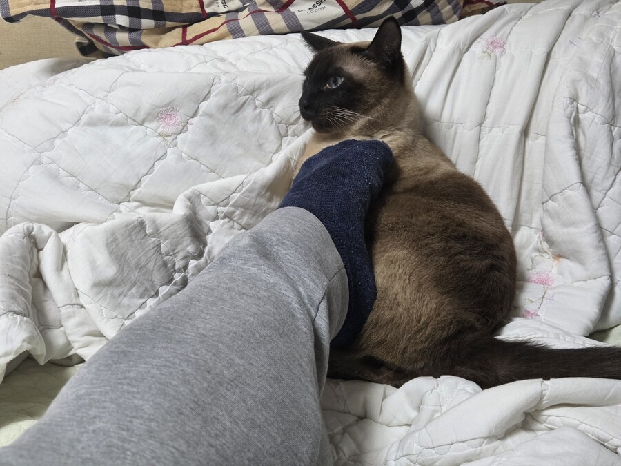 넌 고양이 손으로 만지니? 나는..._4.jpg