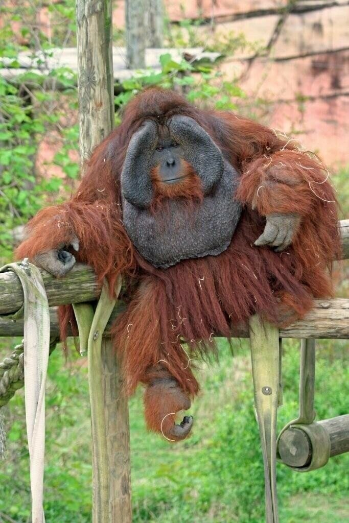 이제는 원본이 어색한 그 사진들_7.jpg