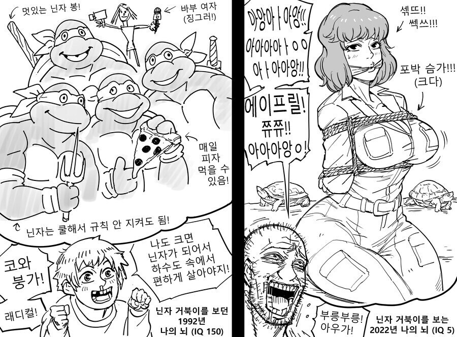 닌자 거북이를 보는 시각 변화_1.jpg