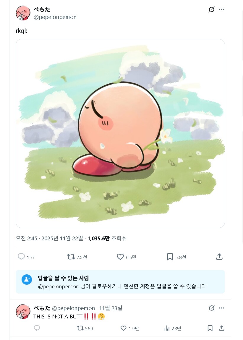 의도한 것 : 등 뒤로 꽃을 맞잡은 커비_1.png