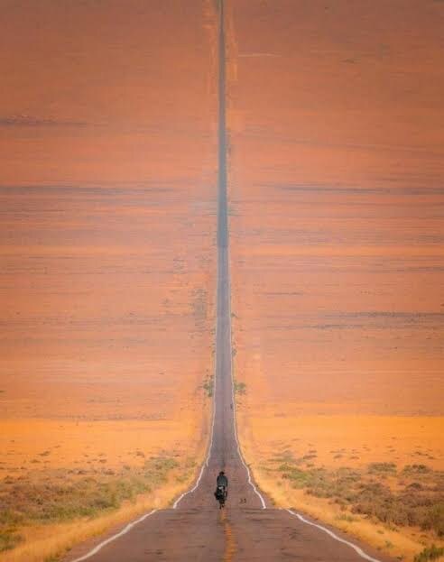 미국에서도 도로롱 엄청 유명한가봐_1.jpg