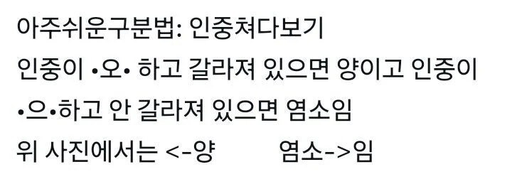 아기염소와 아기양은 자세히 보지 않으면 구분이 어렵다._4.jpg