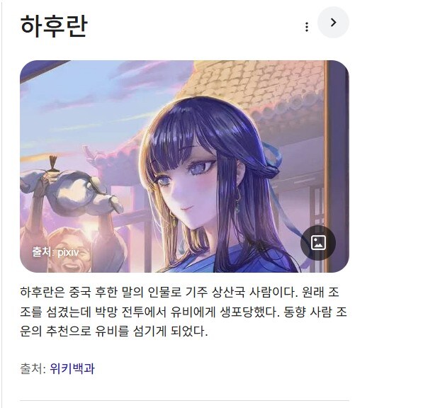 활협전) 구글에서 하후란 치면 나오는 결과물_1.jpg