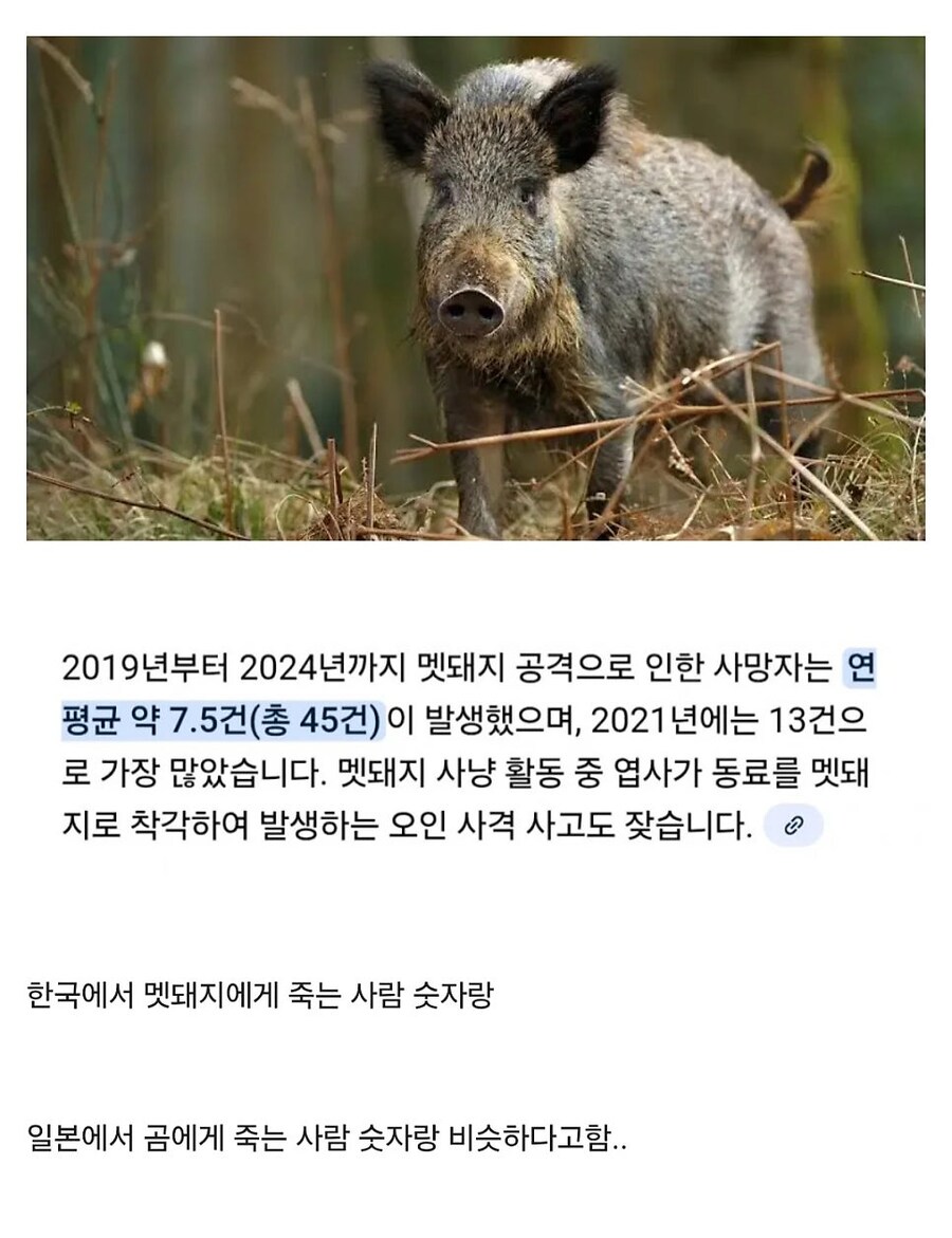 의외로 일본의 곰만큼 한국사람 많이죽인 야생동물_1.jpg
