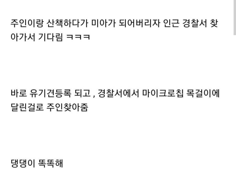 댕댕이 또또캐!_3.jpg