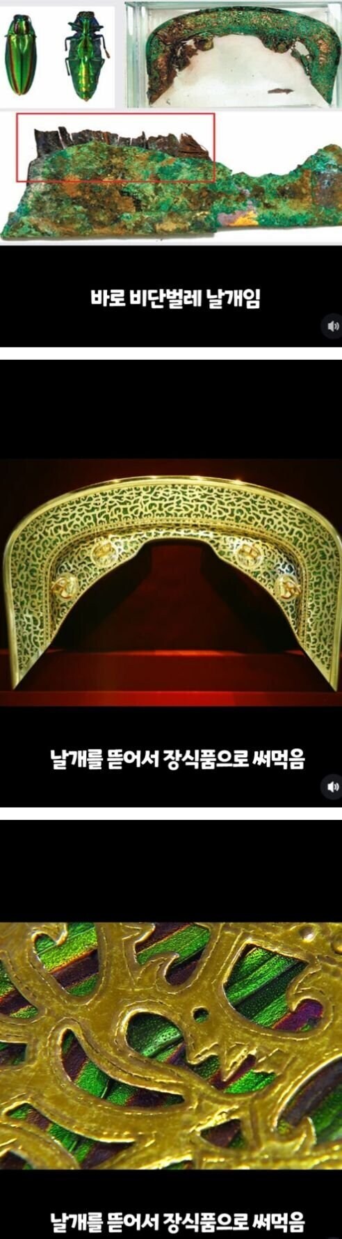 곤충을 이용해 만든 유물.jpg_1.jpg