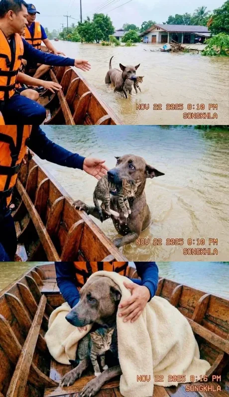 AI 사진들 때문에 갈수록 답이 없긴 함._1.webp