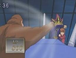 고릴라가 유희에게 주먹질하는 짤_1.jpg