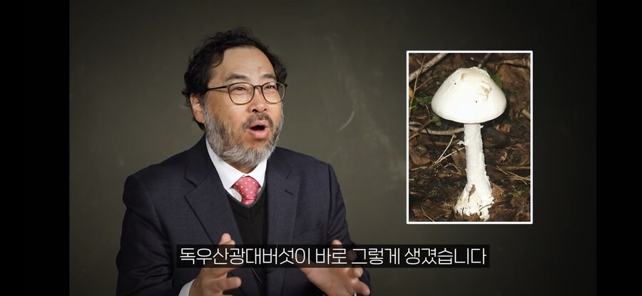 대학 교수님이 알려주신 독버섯 구별 방법. jpg_3.jpg